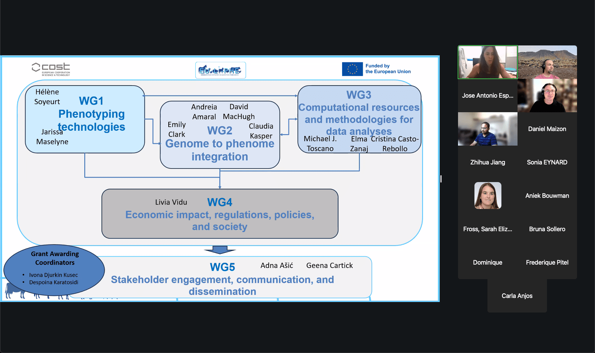 Cristina Casto Rebollo Presents EU-LI-PHE Project to NextFlow Team